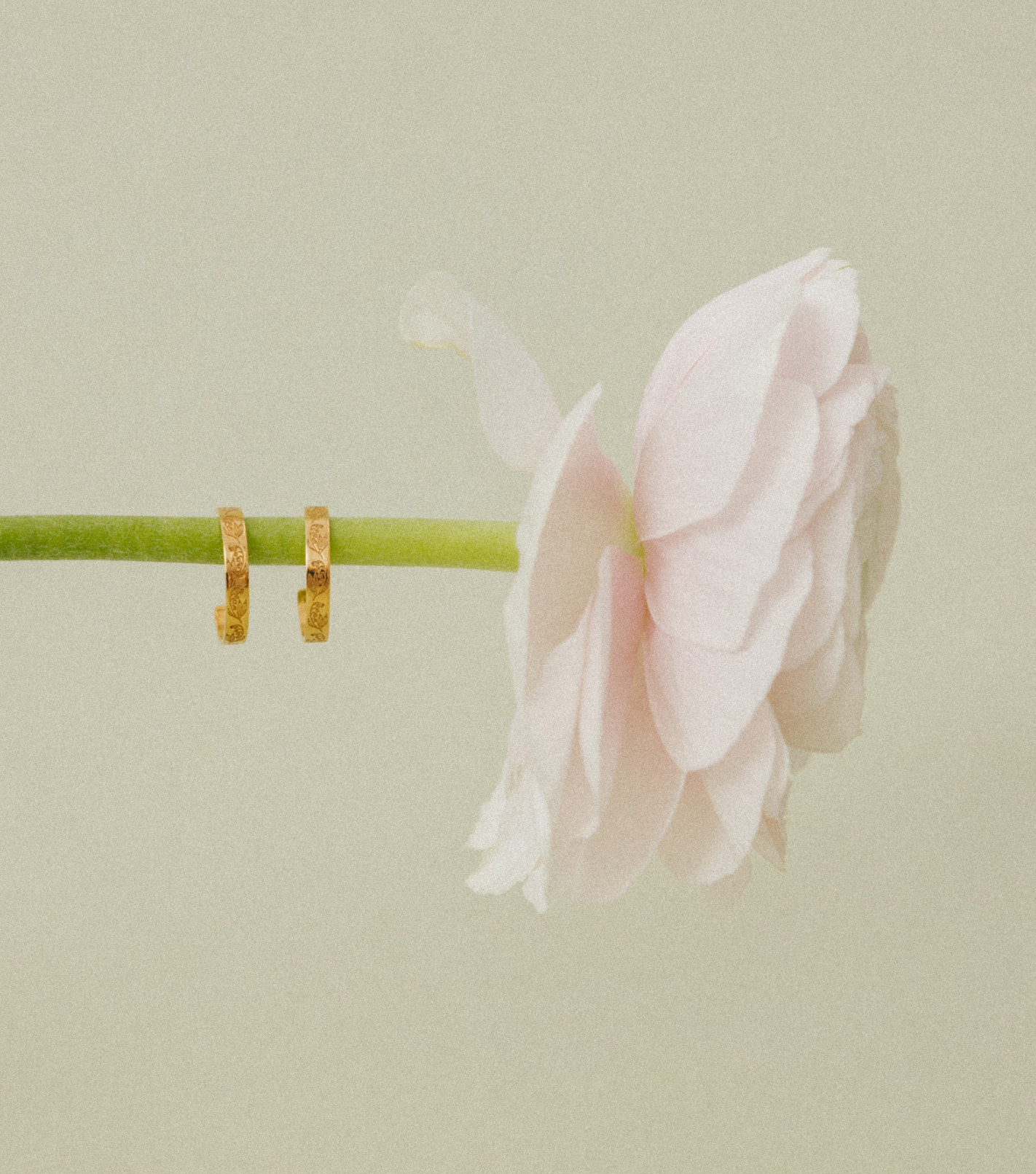 Natural Beauty Hoop Earrings in Gold