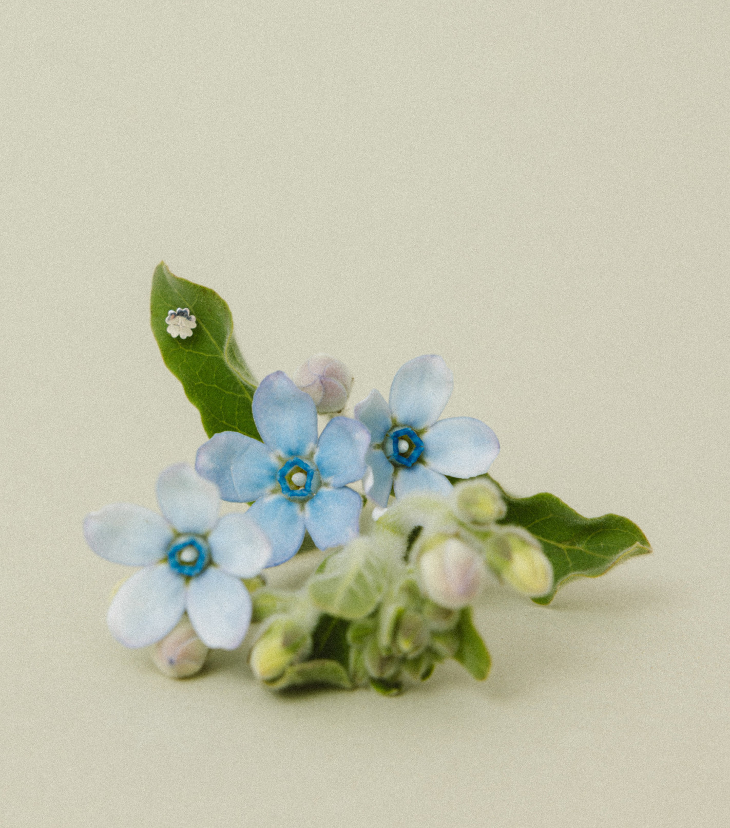 Inner Bloom Mini Stud Earring in Silver